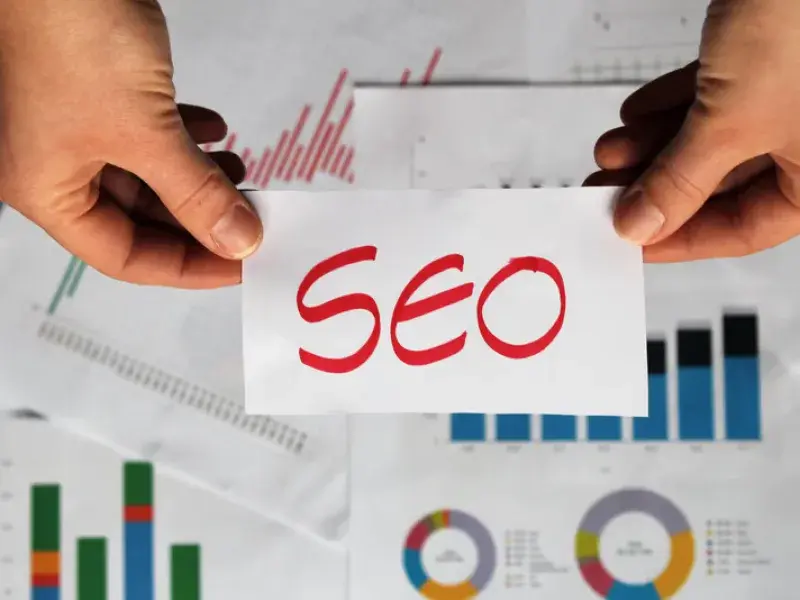 Off-Page SEO in Sunshine Coast, QLD - WebsitedesignSunshinecoast.au