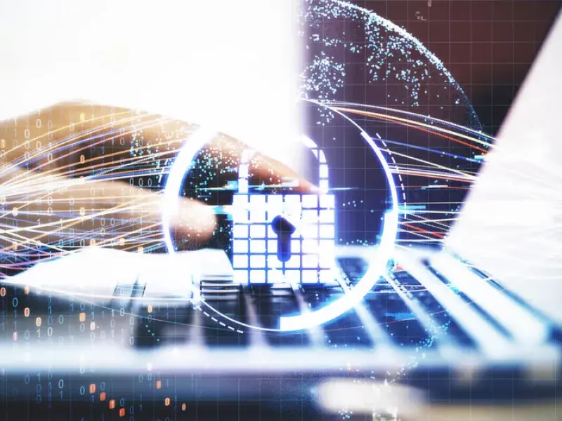 Website Security service in Sunshine Coast