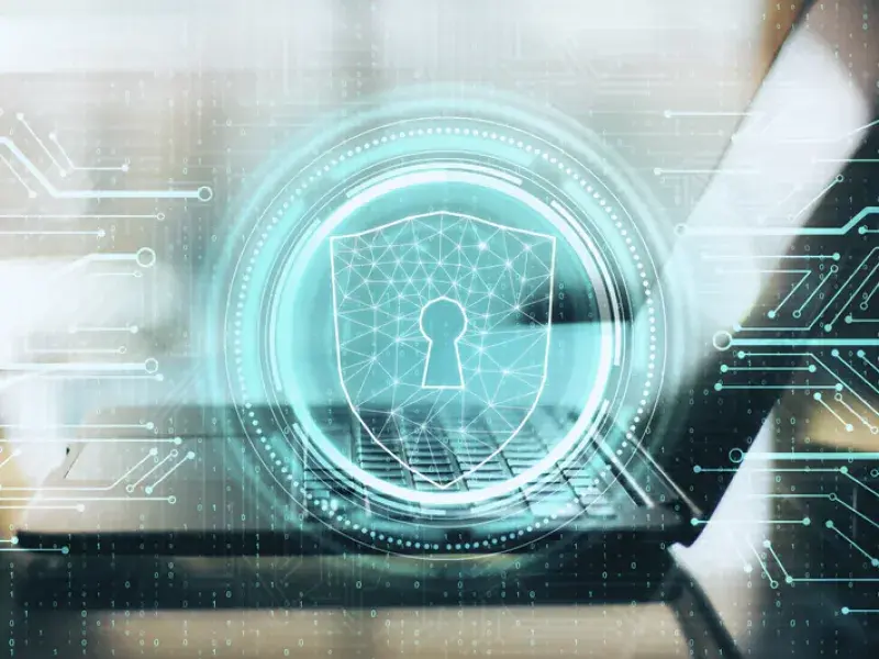 Professional Website Security process