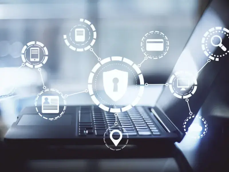 Professional WordPress Security process