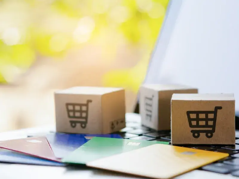 Website Design Services in Buddina, QLD - WebsitedesignSunshinecoast.au