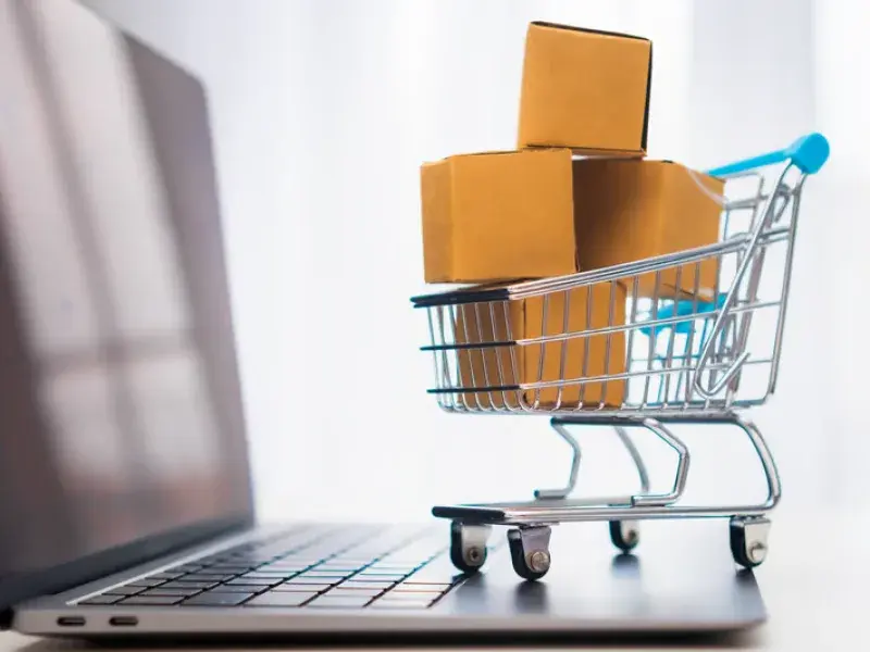 Professional E-commerce Website Development process